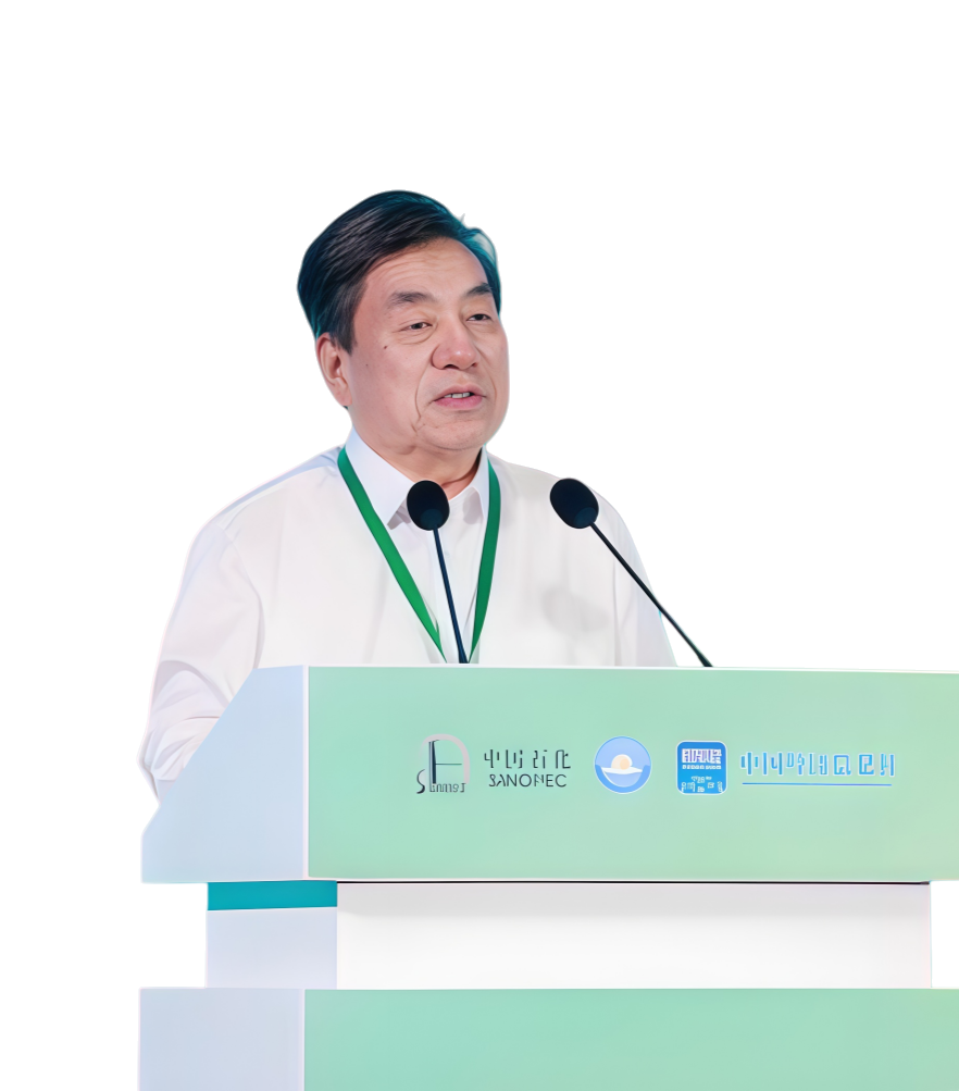 李阳.中国石油化工股份有限公司教授级高级工程师、博士生导师