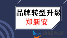 郑新安《奥迪品牌转型升级策略研究》