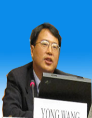 王勇