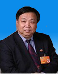贺强